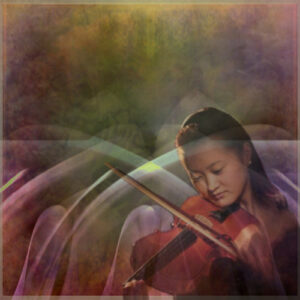 violin